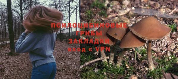 2c-b Балабаново