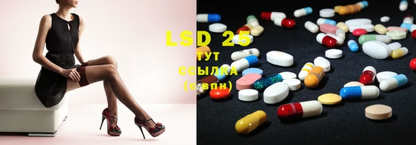 PSILOCYBIN Баксан