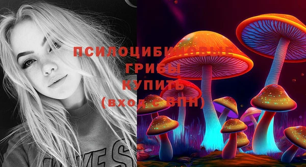 2c-b Балабаново